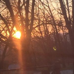 Meet your Posher, Brandy